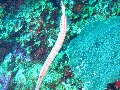 IMG_0665