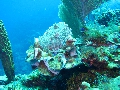 IMG_0666