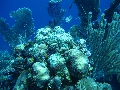 IMG_0673