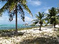 IMG_0211