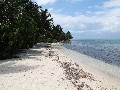 IMG_0222