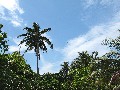 IMG_0224 (1)