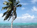 IMG_0226