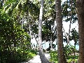 IMG_0238