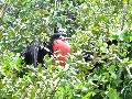 IMG_0247