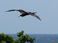IMG_0257