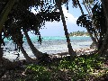 IMG_0266 (1)