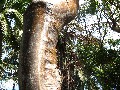 IMG_0267 (1)