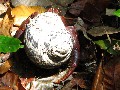 IMG_0270