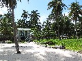 IMG_0289