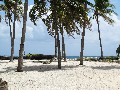 IMG_0290 (1)