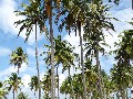 IMG_0291