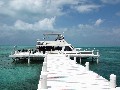 IMG_0300 (1)