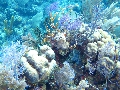 IMG_0335