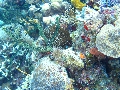 IMG_0336