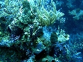 IMG_0368