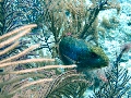IMG_0375