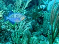IMG_0389