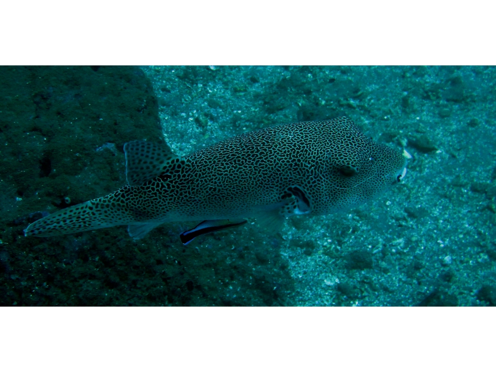 IMG_5629