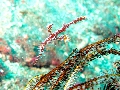IMG_5527