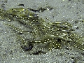 IMG_5603