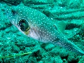 IMG_5658