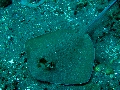 IMG_5667