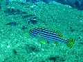 IMG_5723