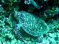 IMG_5730