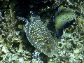IMG_5731