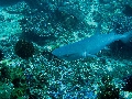 IMG_5787