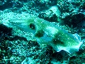 IMG_5804