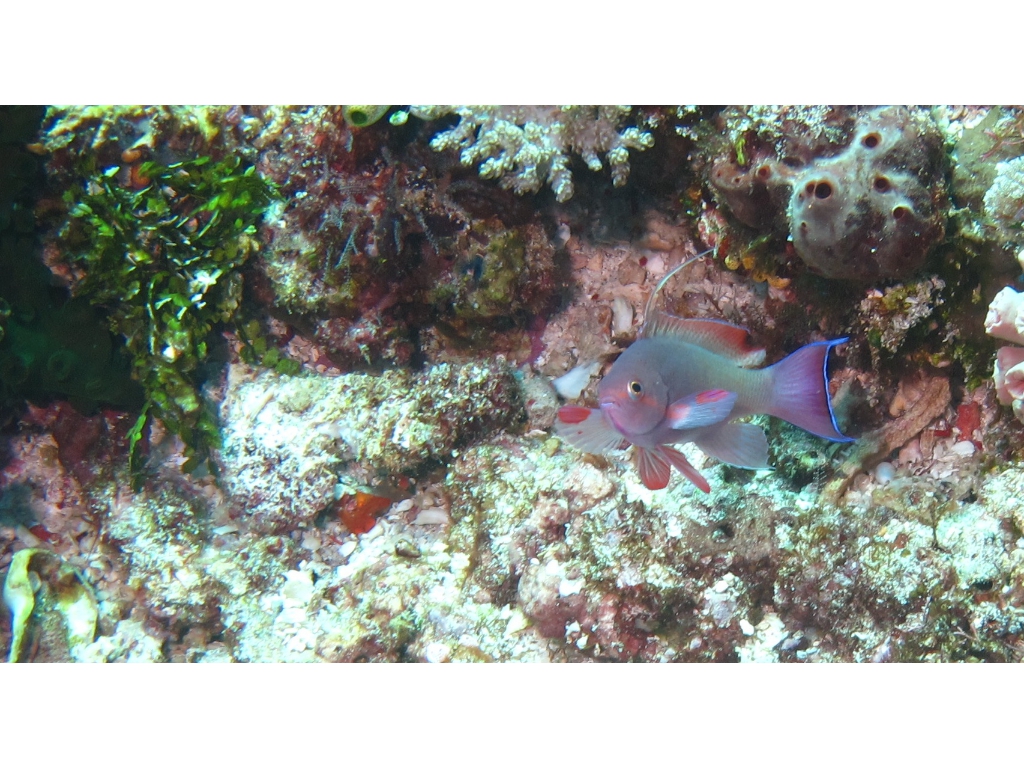 IMG_6508