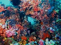 IMG_6462