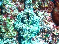 IMG_6464