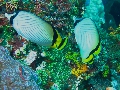 IMG_6487