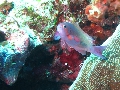IMG_6495