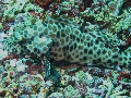 IMG_6507