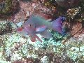 IMG_6508 - Version 2