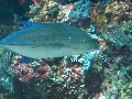 IMG_6509