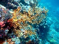 IMG_6521