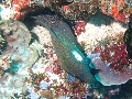 IMG_6545