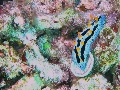 IMG_6553
