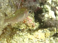 IMG_6565