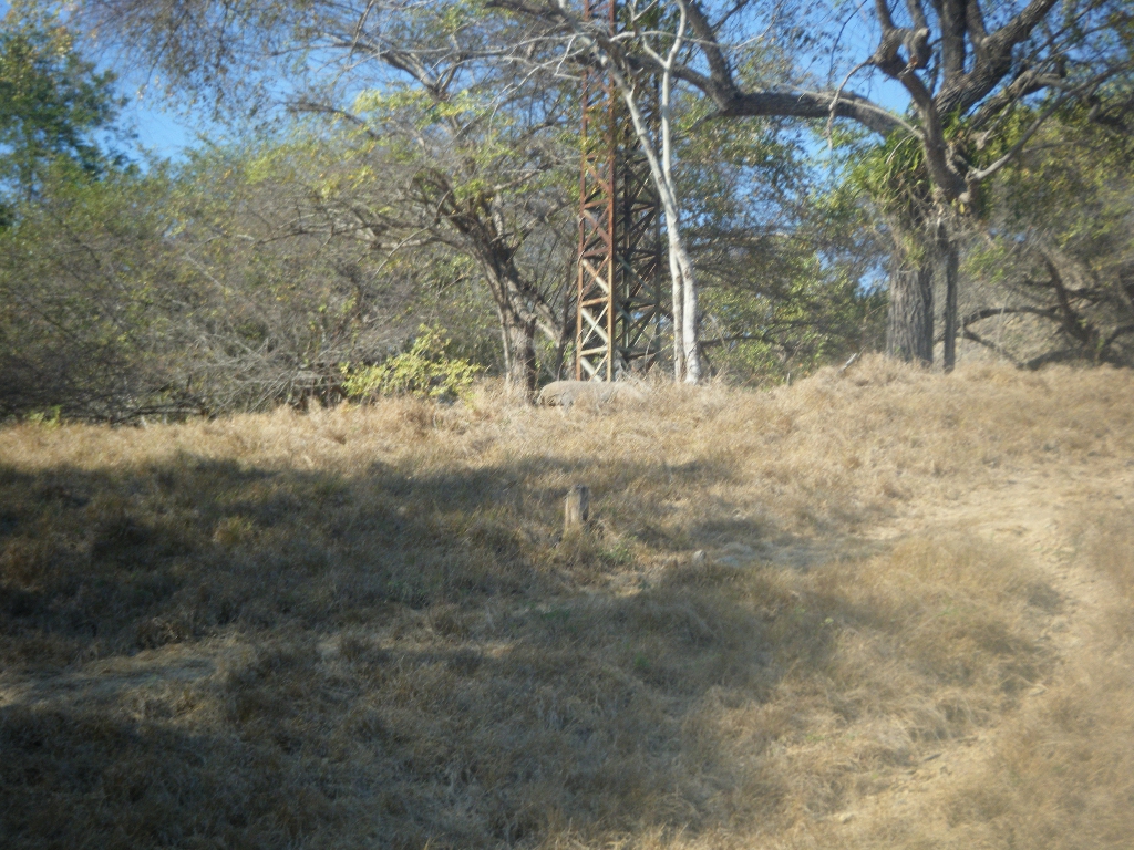 DSCF8039