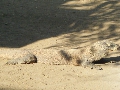 DSCF8023