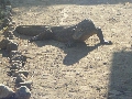 DSCF8024