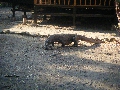 DSCF8027