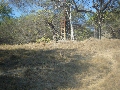 DSCF8039