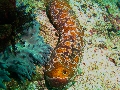 IMG_6643